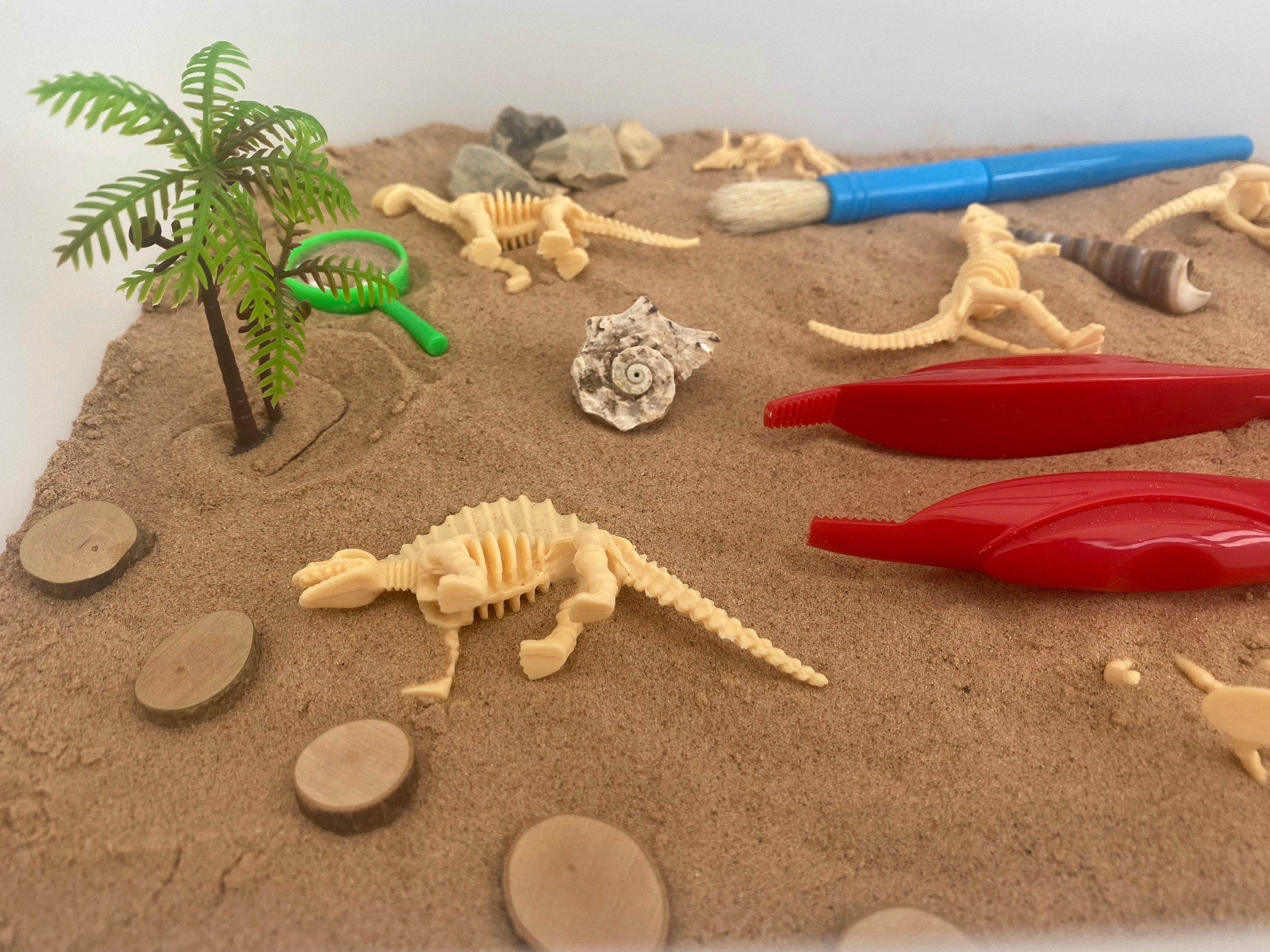 Large Excavation Dinosaur Sensory Kit Tuff Tray Play Sensory Bin Loose ...