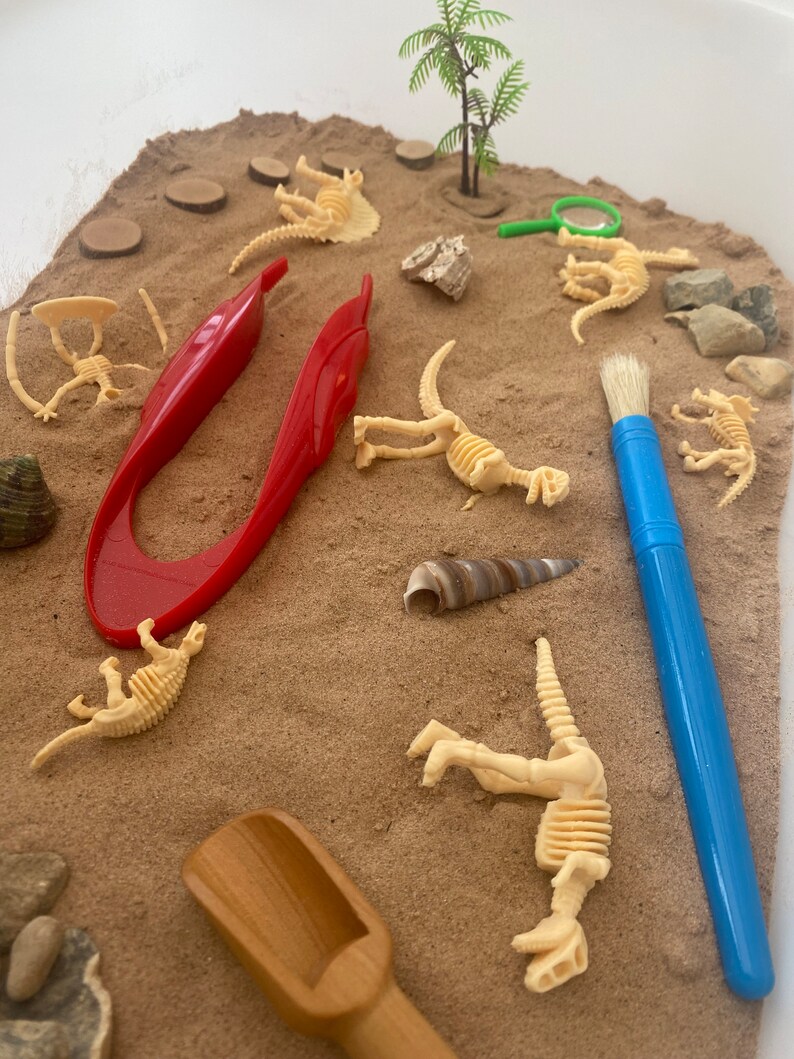 Large Excavation Dinosaur Sensory Kit Tuff Tray Play Sensory Bin Loose ...