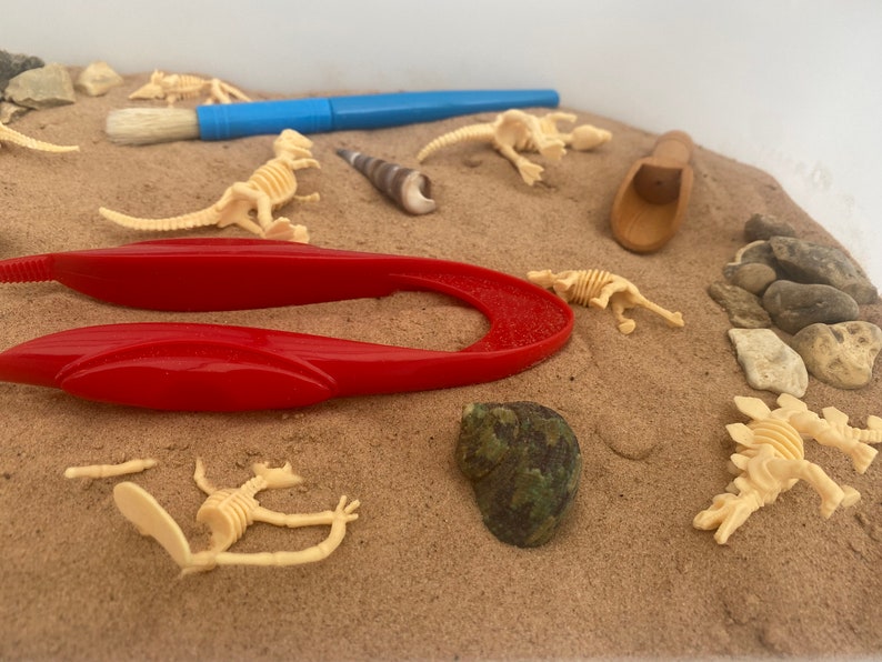 Large Excavation Dinosaur Sensory Kit Tuff Tray Play Sensory Bin Loose ...