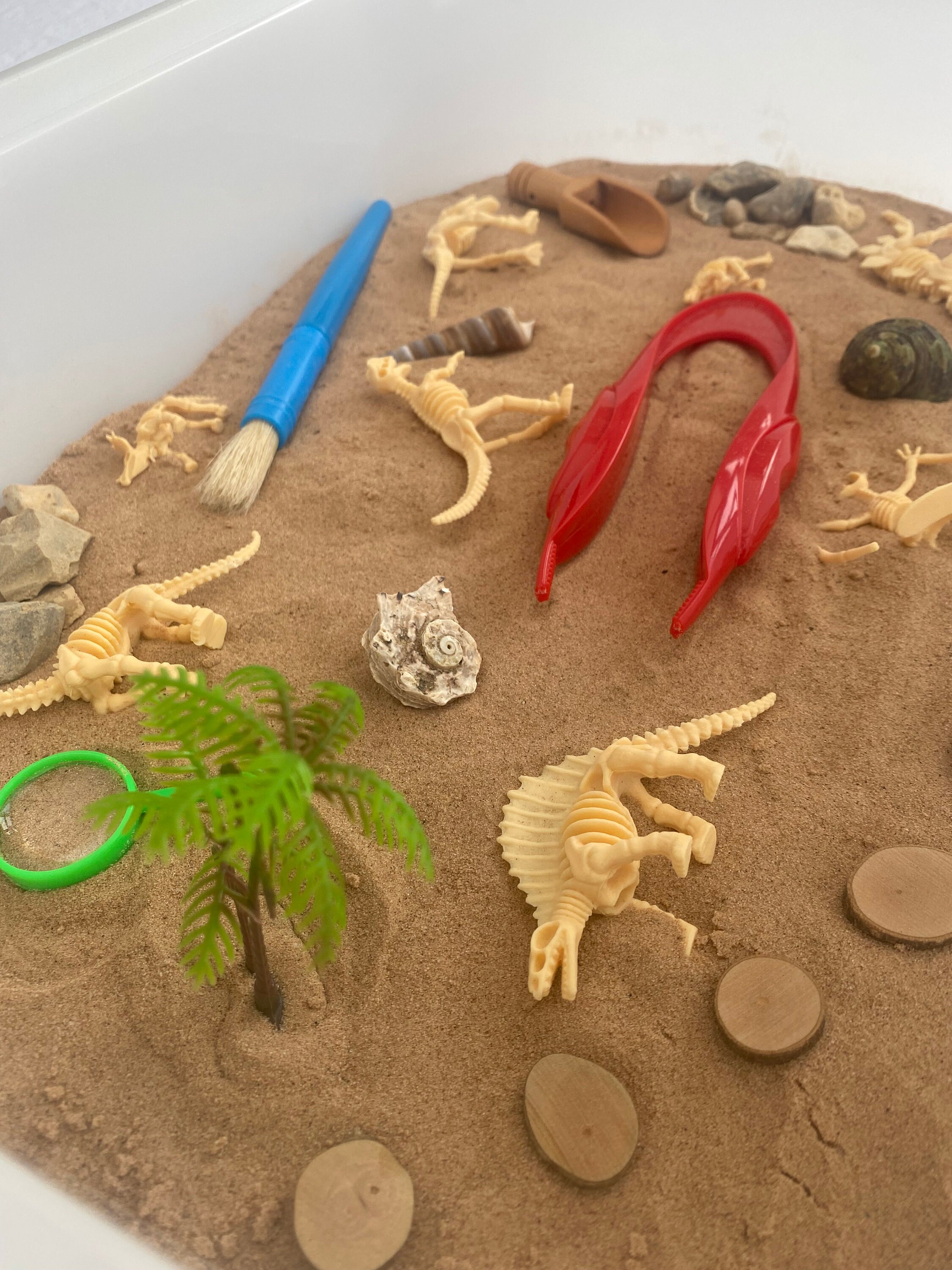 Large Excavation Dinosaur Sensory Kit Tuff Tray Play Sensory Bin Loose ...