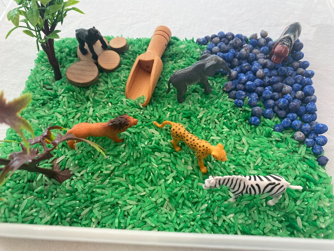 Jungle Sensory Kit Dig and Play Sensory Bin Loose Parts Play Kit