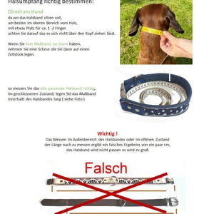 May include: Image showing how to measure a dog's neck for a collar. A dog's neck is measured with a yellow measuring tape. The image also shows a blue patterned collar with a measuring tape inside, and two collars crossed out with the word "Falsch".