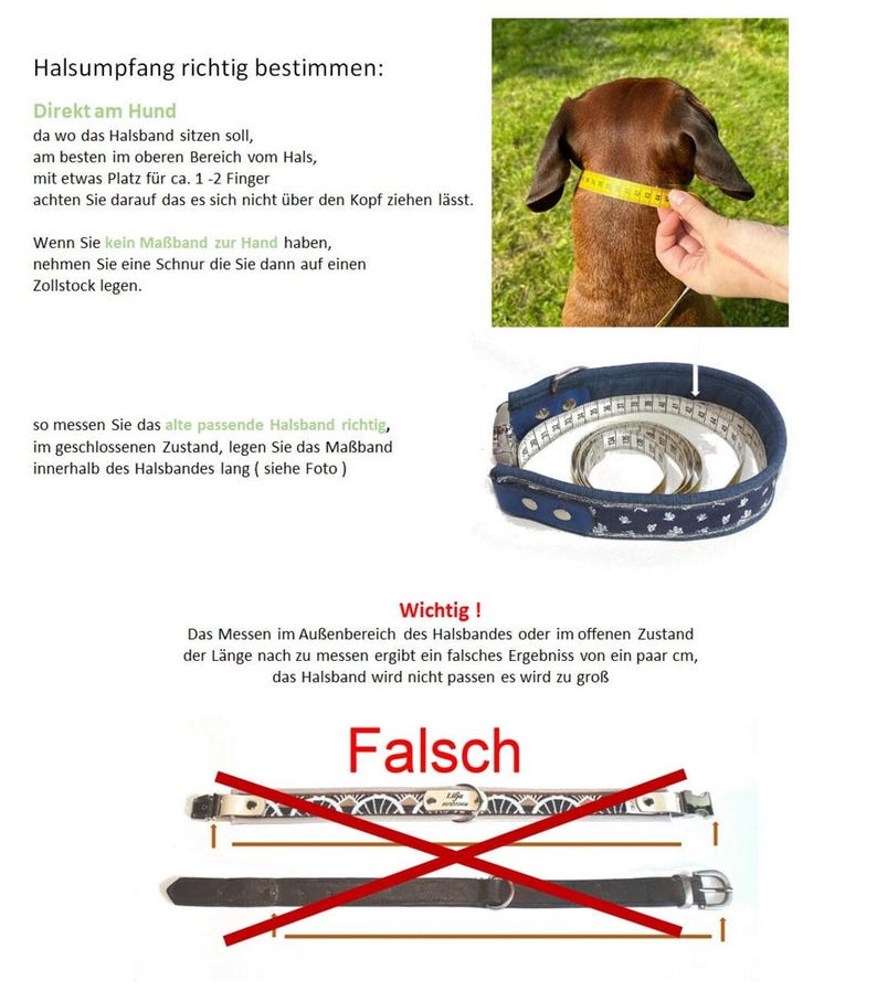 May include: Image showing how to measure a dog's neck for a collar. A dog's neck is measured with a yellow measuring tape. The image also shows a blue patterned collar with a measuring tape inside, and two collars crossed out with the word "Falsch".