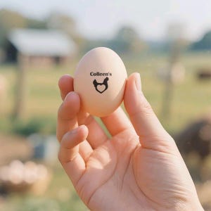 Carimbos personalizados de fazenda, marcação de ovos, carimbos de ovos frescos, carimbo personalizado de caixa de ovos de galinha, carimbo de ovo com imagem personalizada, presentes criativos de fazenda