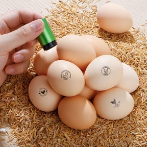 Personalized Egg Stamp, Mini Egg Stamp, Cute Egg Stamp, Fresh Egg Stamps, Custom Chicken Egg Carton Stamp, Custom Egg Stamp Personalized