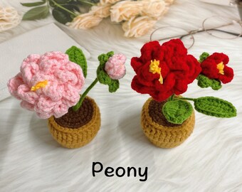 Handmade Crochet Peony in the Pot, Finished Flower Office Desk Decoration, Knitted Artificial Wildflower,Mothers Day Gift,Flower Arrangement