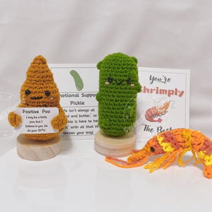 Positive Poo, Emocjonalne wsparcie Pickle, Krewetka, Karta zachęty Prezent dla przyjaciół, Inspirujące świąteczne wypełniacze skarpet, Przyjaciel biurowy