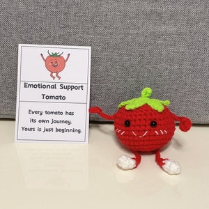 Tomate de soutien émotionnel faite main avec carte d'affirmation positive, Légume mignon au crochet, Cadeau de départ d'un collègue drôle, Jouet de réconfort, que vous aimez