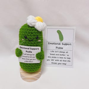 Kerstcadeau positieve poep, gehaakt bureaumaatje, gepersonaliseerde aanmoedigingcitaten, emotionele steun augurk grappig raar decor, kak collega