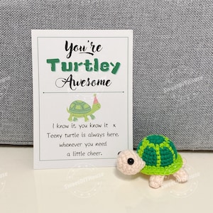 Geweldige kaart Turtley met gehaakte schildpad, geluksbedel, cheer-up cadeau, kleine schildpad sleutelhanger, pocket knuffel, je bent geweldig, bureaudecor