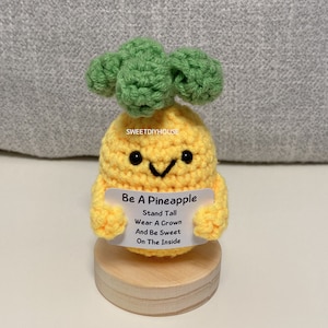 Pineapple Holding Positive Affirmation,Handmade Crochet Fruit and Flower,Funny Coworker Gift,Emotional Support Office Decor, Weird Stuff