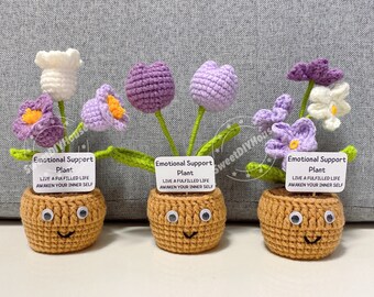 Plante de soutien émotionnel unique faite main avec des yeux brillants, fleurs positives au crochet, cadeaux d'encouragement pour des amis, décoration de bureau/table