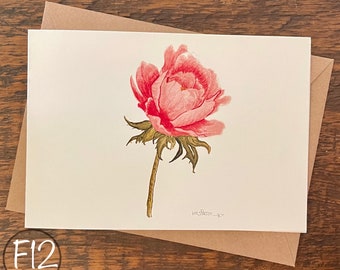 Watercolor Flower Greeting Cards, Blank Notecard Set, Eco-Friendly