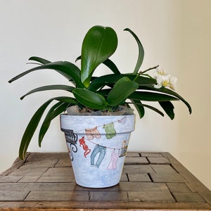 May include: A green potted orchid plant with white flowers in a white ceramic pot with a colorful design of clothes hanging on a clothesline.