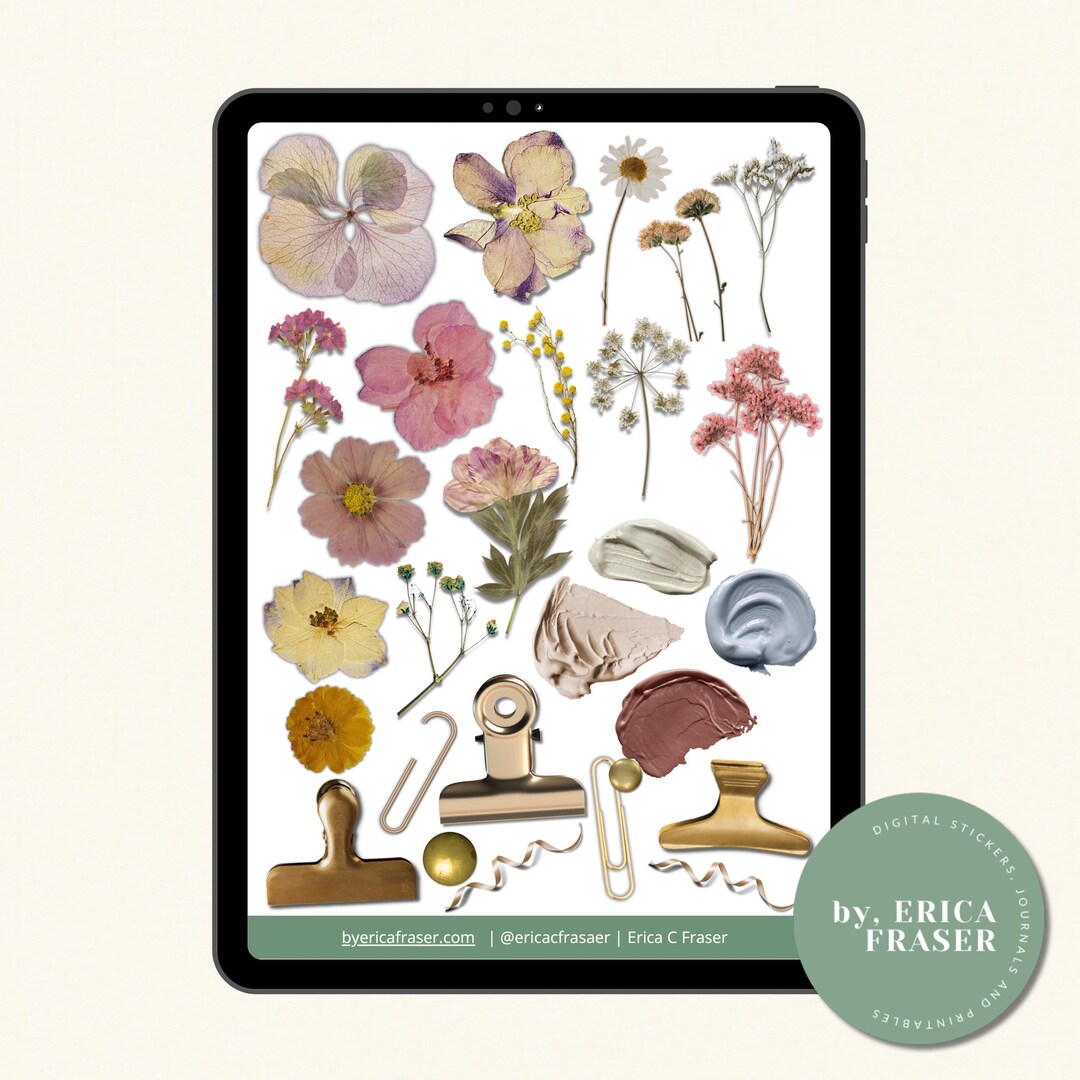 Vision Board Digital Stickers | 150+ Pink Mood Stickers (PNG) - Etsy