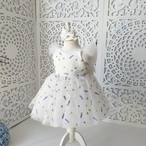 Embroidered Tulle Party Dress: Floral Baby Birthday Dress with Headband