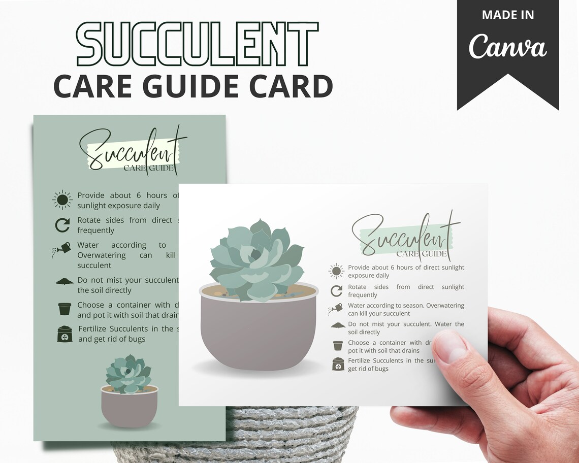 Succulent Plant Care Card Guide Template | Succlent Care Tips | Plant ...