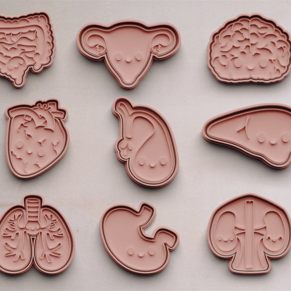 Human Organs Cookie Cutter | cookie cutter | Cookie Cutters | cookie cutter | Cookie mold | Cookie mold | Medicine gift