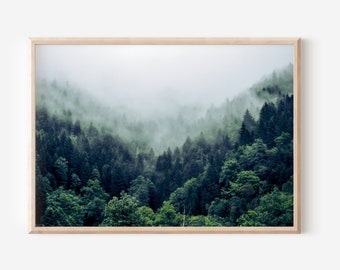 May include: A framed photograph of a misty forest scene. The image shows a dense forest with tall trees and a layer of fog covering the landscape. The colors are muted greens and blues, creating a serene and atmospheric feel.