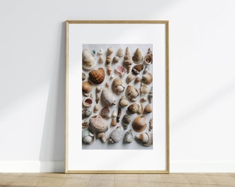 Seashells Poster Print, Nature-Inspired Wall Art (Digital Download)