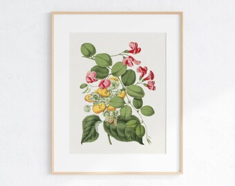 Impresión digital botánica vintage floral Decoración de arte de pared de flores Arte de pared imprimible, Descarga instantánea de flores silvestres impresión descargable