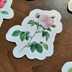 Antieke rozen | Stickerpakket | Gestanste stickers | Gemakkelijk schillen