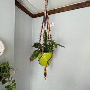 May include: A hanging plant in a lime green pot suspended by a macrame plant hanger. The macrame features navy blue, yellow, and tan cords. The plant has green leaves with white variegation.