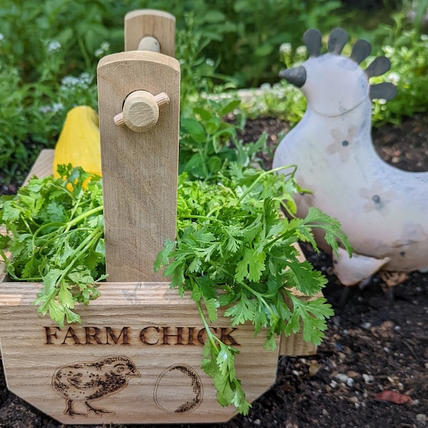 Farm Chick Basket Hod, homemade & personalized