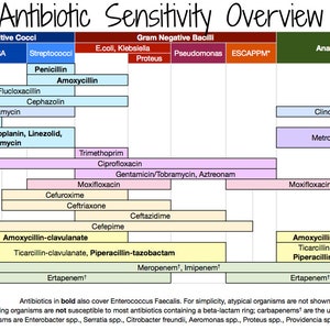 May include: A chart showing antibiotic sensitivity for different types of bacteria, including Gram-positive cocci, Gram-negative bacilli, and anaerobes. The chart lists various antibiotics and their effectiveness against each type of bacteria.