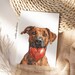 Rhodesian Ridgeback Birthday Greeting Card From the Dog for Groomers ...