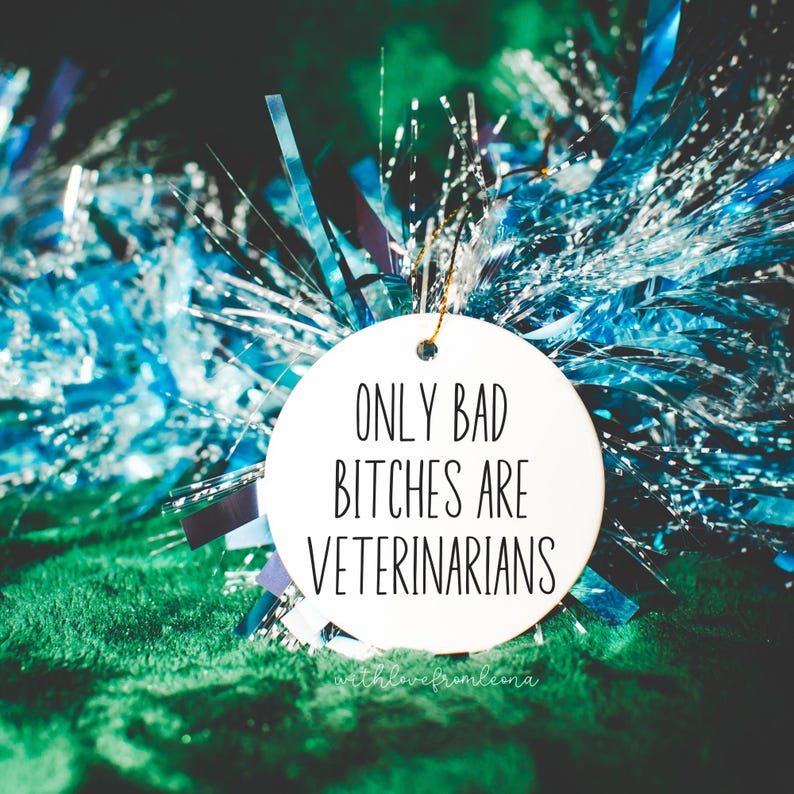 Veterinarian Gift, Christmas Ornament, Ornament Gift, Christmas Gift