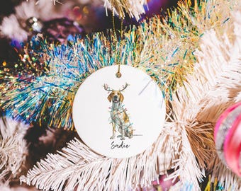 Personalized Coonhound Dog Christmas Ornament Personalized Coonhound Dog Memorial Gift Pet Ornament