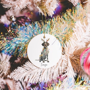 May include: A round, white Christmas ornament featuring a watercolor illustration of a dog wearing antlers and Christmas lights. The dog is a German Shorthaired Pointer. The name "Sage" is written in script below the dog.
