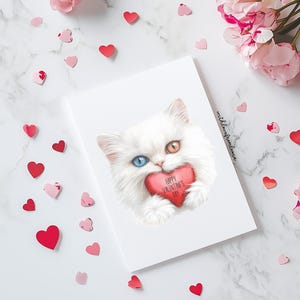 Persian Cat Valentines Day Greeting Card from the Cat For Groomers Vets Breed Lovers Valentines Day Persian Cat Card