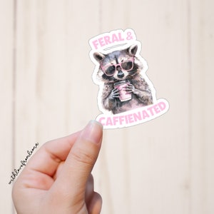 Raccoon Sticker Laptop Stickers Funny Sticker Sarcastic Raccoon Laptop Decal Raccoon Tumbler Stickers Raccoon Coffee Water Bottle Sticker