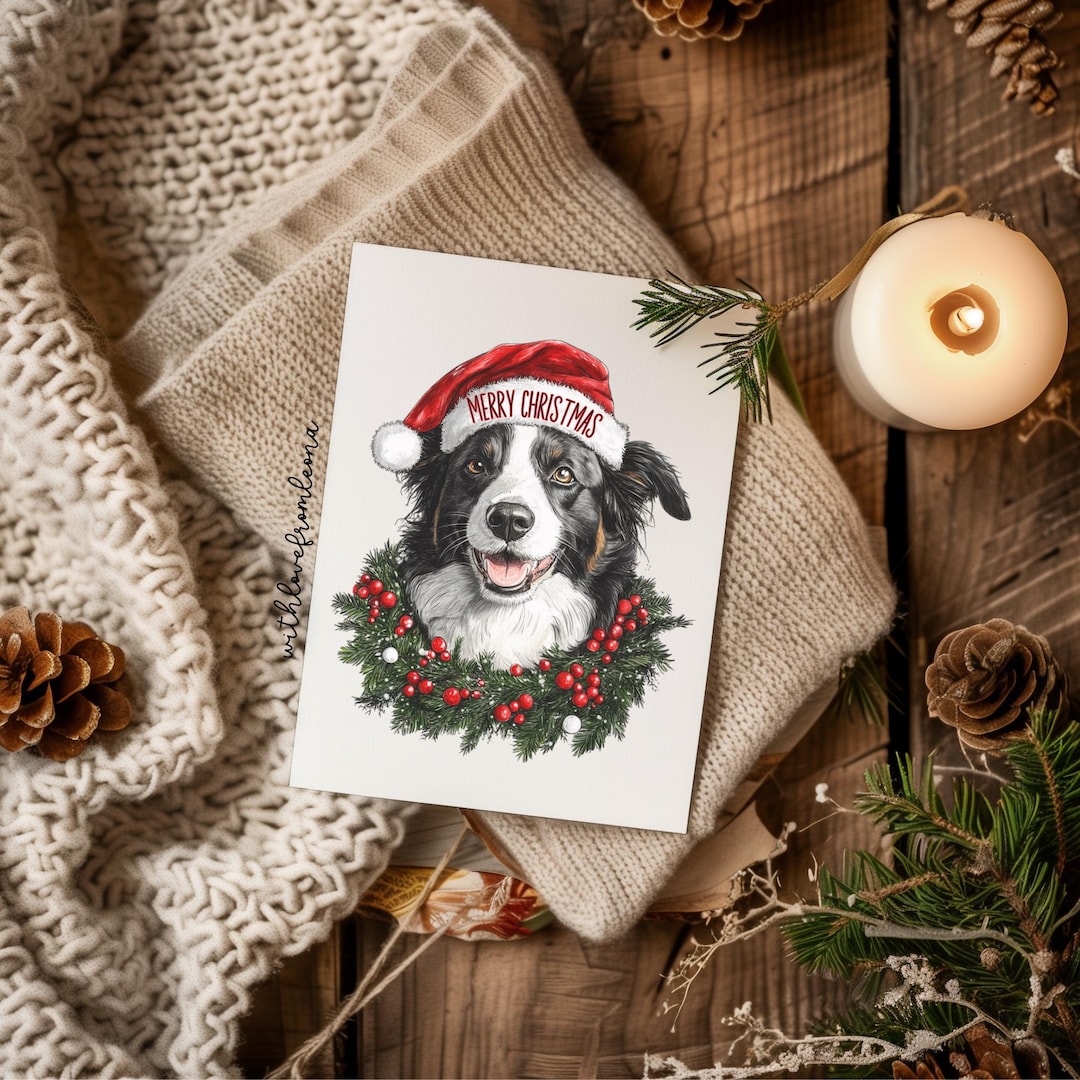Border Collie Dog Christmas Greeting Card From the Dog for Groomers ...