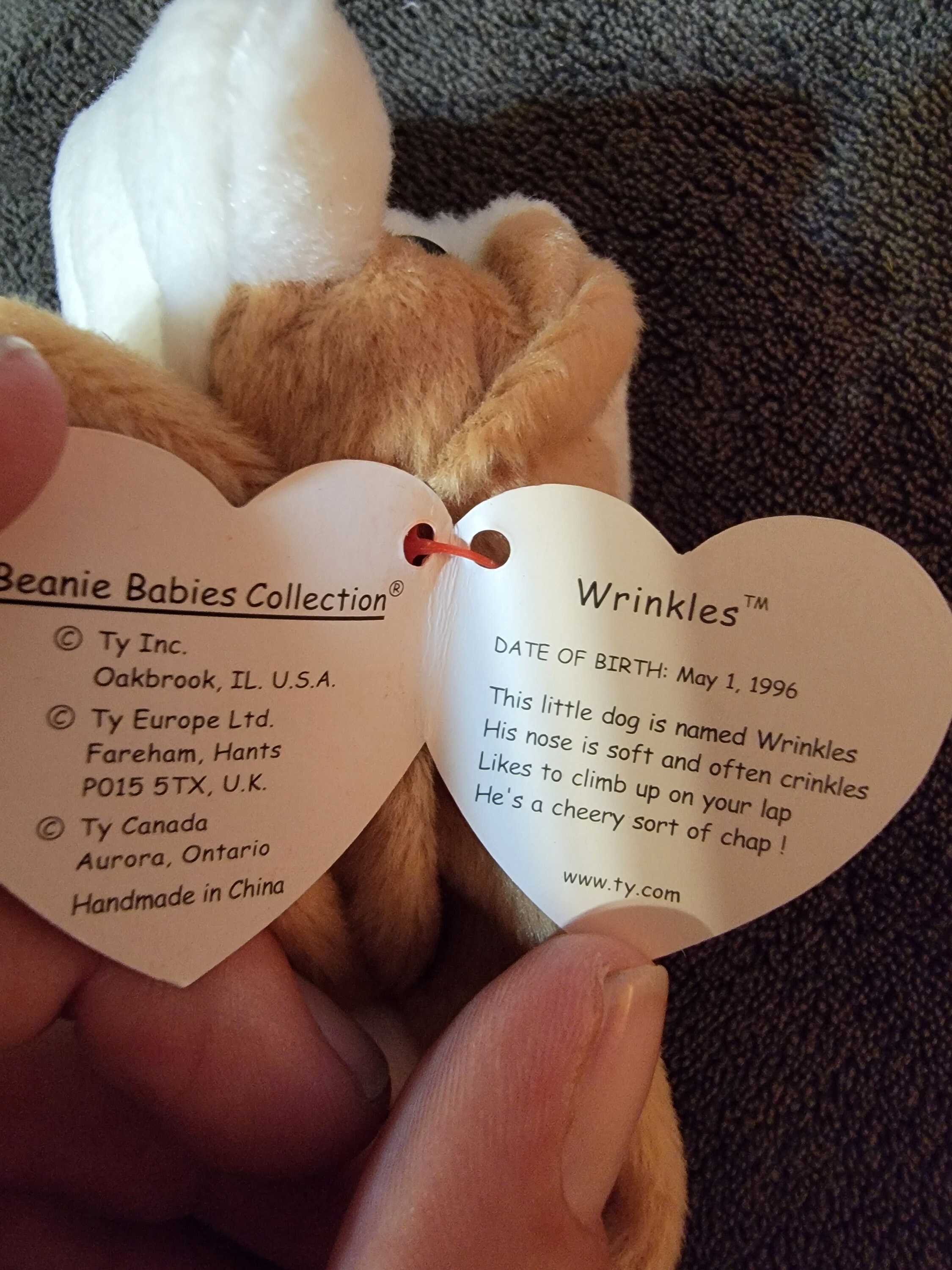 TY Beanie Baby Wrinkles the Bulldog Etsy