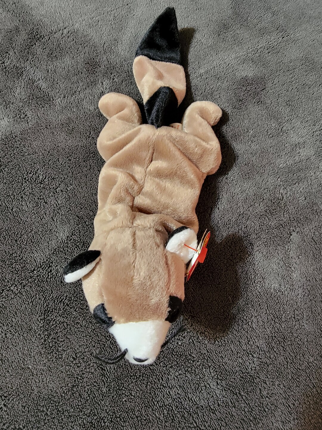 TY Beanie Baby Ringo the Raccoon Etsy