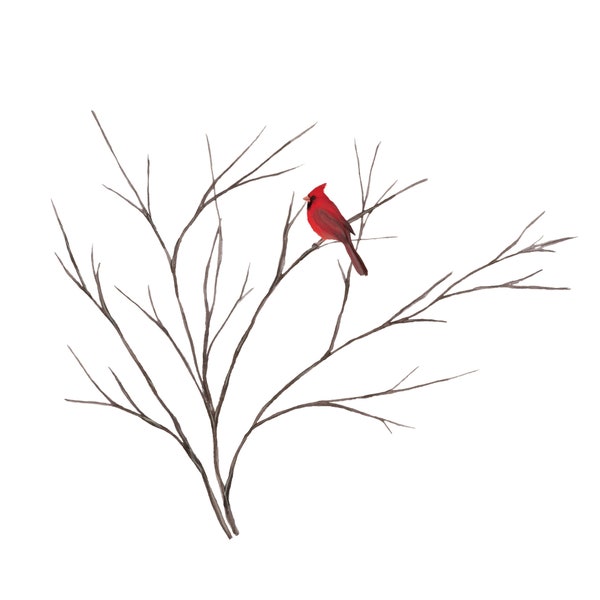 Red Cardinal Art Print Square 1x1 Printable Wall Decor Birch Tree Branch Nature Inspired Cardinal Bird Illustration Wildlife Minimalist Art