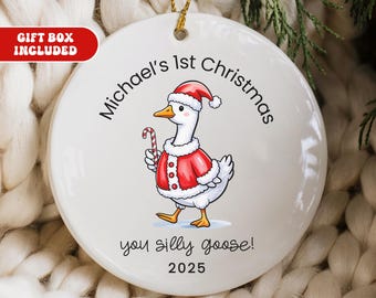 Goose 1st Christmas Ornament Silly Goose Baby First Christmas Ornament Personalize Keepsake Newborn Christmas Gift Baby Custom Name Ornament
