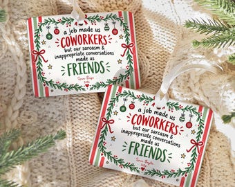 Personalized Coworker Story Ornament, Funny Work Bestie Christmas Gift, Coworker Friendship Keepsake