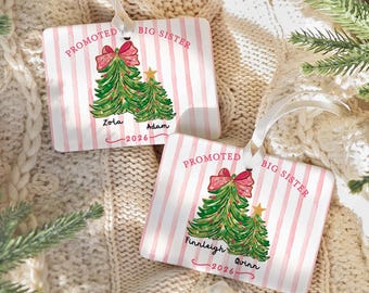 Promoted to Big Sister Story Ornament, Personalized Sibling Christmas Keepsake, New Baby Gift 2026