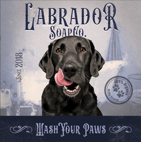 How To Wash A Labrador