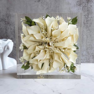 May include: A cream-colored floral arrangement encased in a clear acrylic cube. The arrangement features large, layered petals, small white flowers, and green leaves. The cube sits on a white marble surface.