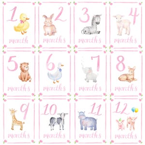 Tarjetas de hitos para niñas / Tarjetas de hitos de animales / Hitos mensuales del bebé