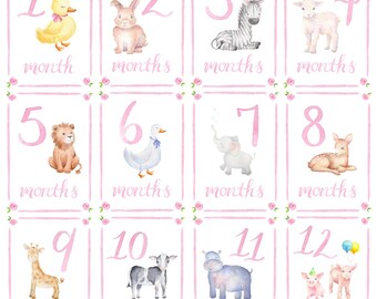 Baby Girl Milestone Cards | Animal Milestone Cards | Monthly Baby Milestones