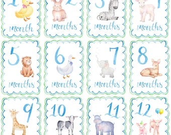 Baby Boy Milestone Cards | Animal Milestone Cards | Monthly Baby Milestones