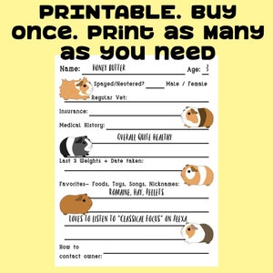 Guinea Pig Care Sheet for Pig Sitter Caregiver When You Go on Vacation ...