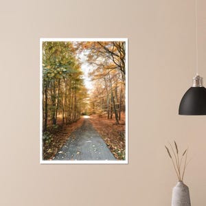 Pôster caminho da floresta no outono/folhas, árvores, floresta/cartaz da natureza/impressão artística/férias/memória de viagem/ideia de presente