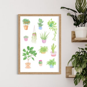 Plant Poster | Plant art print | Plant lady gift | Botanical wall art | Houseplant poster | Plant decor